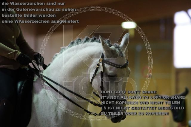 s_K3F07082.JPG